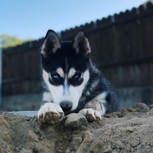 Meet your Posher, Julian